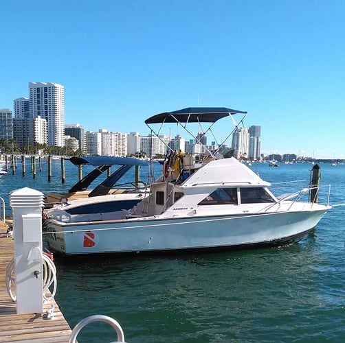 Miami Lobstering Trip - 28' Bertram In Miami