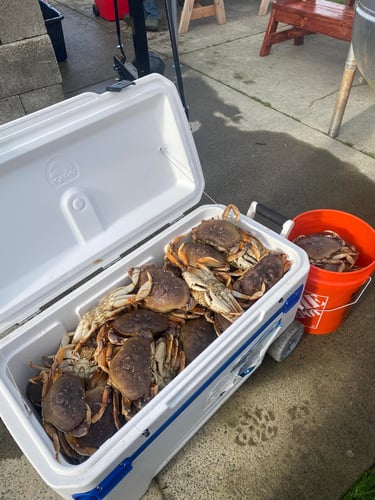 Salmon Fishing And Crabbing Combo In Warrenton