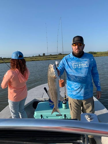 Aransas Pass Redfish Wade In Aransas Pass