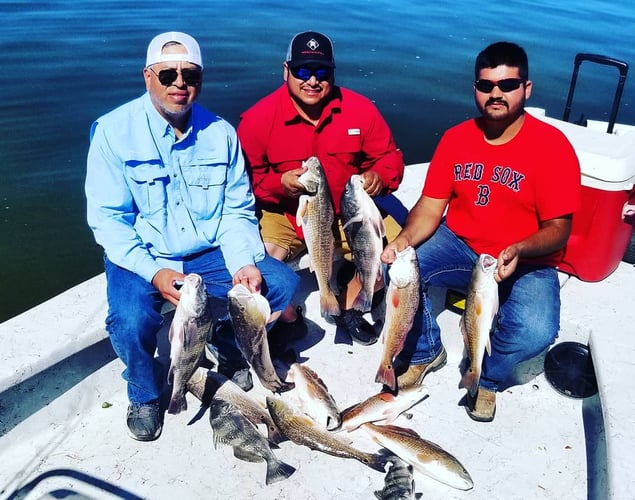 Aransas Pass Redfish Wade In Aransas Pass