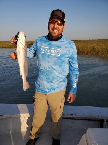 Aransas Pass Redfish Wade In Aransas Pass