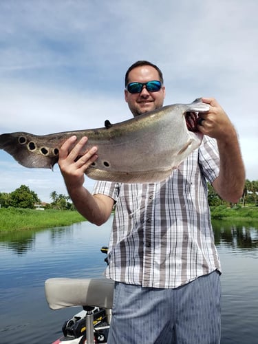 South Florida Freshwater In Delray Beach