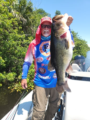 South Florida Freshwater In Delray Beach