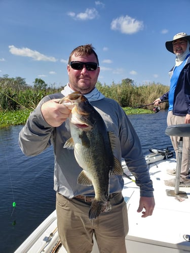 South Florida Freshwater In Delray Beach