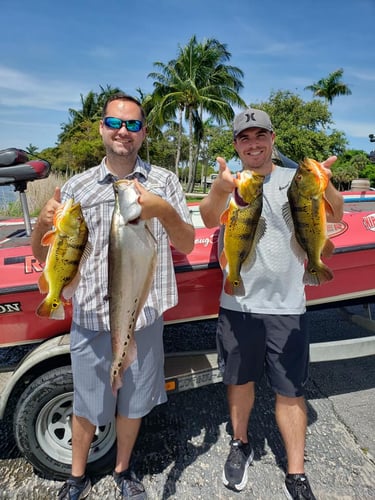 South Florida Freshwater In Delray Beach