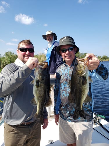 South Florida Freshwater In Delray Beach