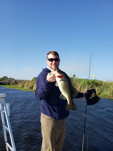 South Florida Freshwater In Delray Beach