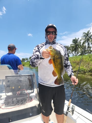 South Florida Freshwater In Delray Beach