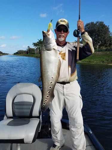 South Florida Freshwater In Delray Beach