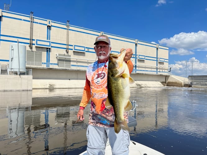 South Florida Freshwater In Delray Beach