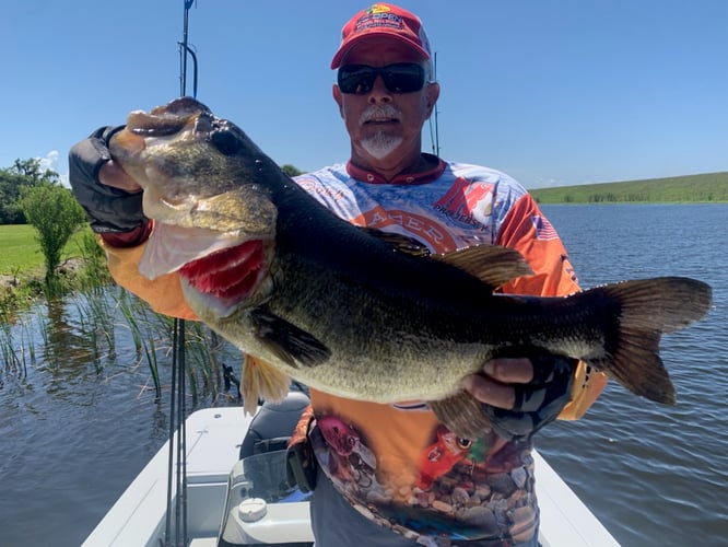 South Florida Freshwater In Delray Beach