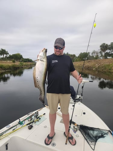 South Florida Freshwater In Delray Beach