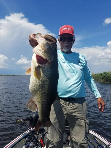 South Florida Freshwater In Delray Beach