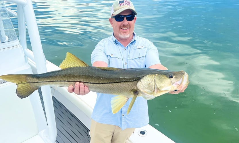 Non-Stop Inshore Action In St. Pete Beach