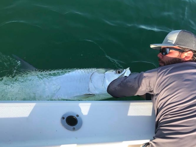 Non-Stop Inshore Action In St. Pete Beach