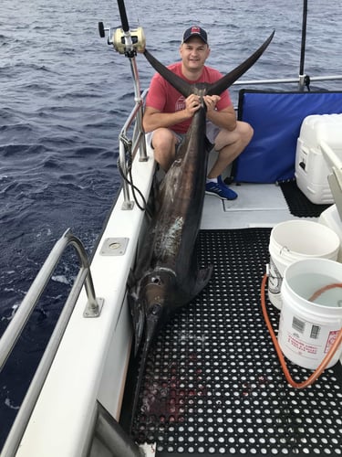 Sportfishing Kauai - 34' Radon In Lihue