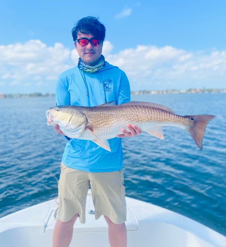 Inshore Fishing Slam In Ruskin