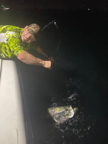 Inshore Fishing Slam In Ruskin