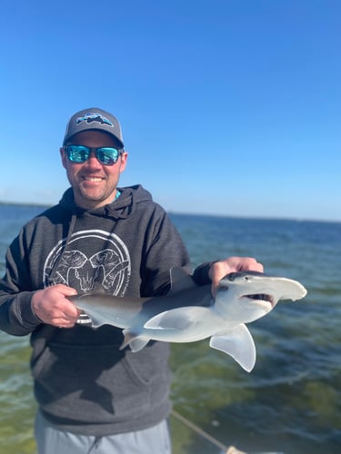 Inshore Fishing Slam In Ruskin