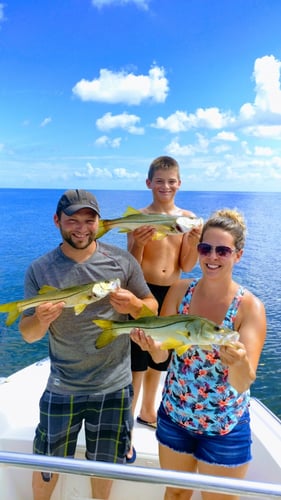 Inshore Family Fun Fishing In Tampa