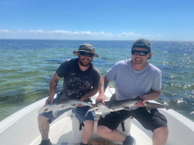 Tampa Bay Shark Fishing In Tampa