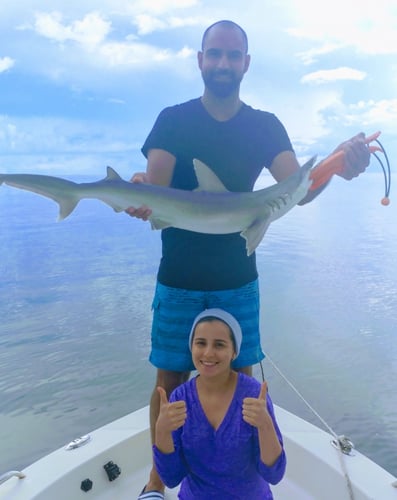 Tampa Bay Shark Fishing In Tampa