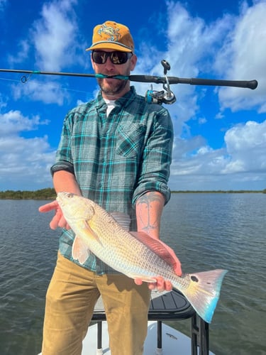 Hunting Redfish In The Shallows In Oak Hill
