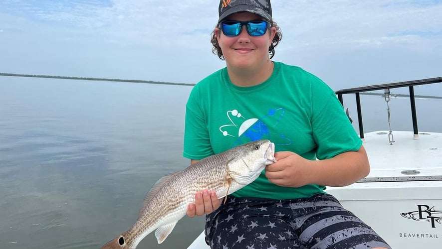 Hunting Redfish In The Shallows In Oak Hill