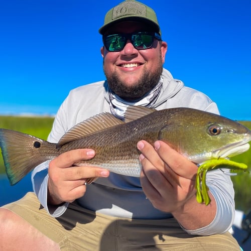Hunting Redfish In The Shallows In Oak Hill