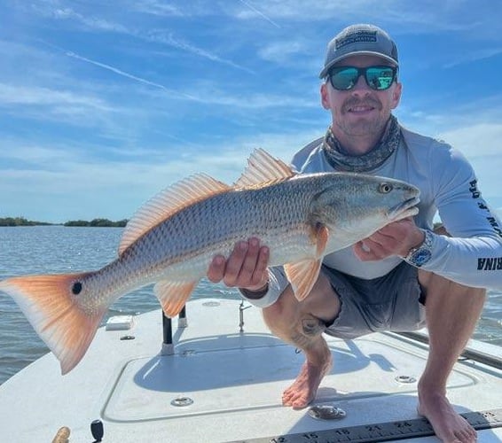 Hunting Redfish In The Shallows In Oak Hill