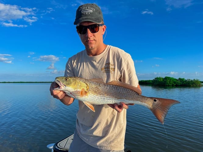 Hunting Redfish In The Shallows In Oak Hill