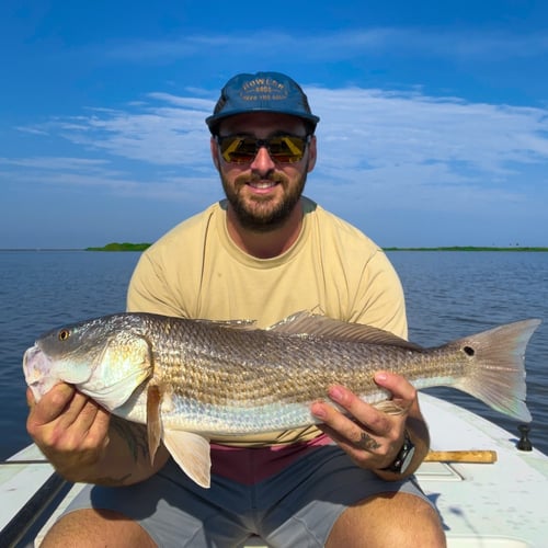 Hunting Redfish In The Shallows In Oak Hill