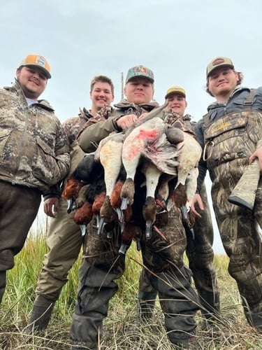 Whacking Ducks In North Rockport In Rockport