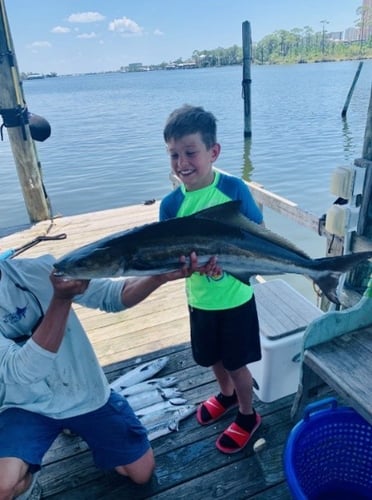 Inshore Targets, Nearshore Trolling In Orange Beach