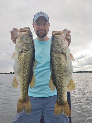 Kissimmee Bass Fishing Charter In Kissimmee