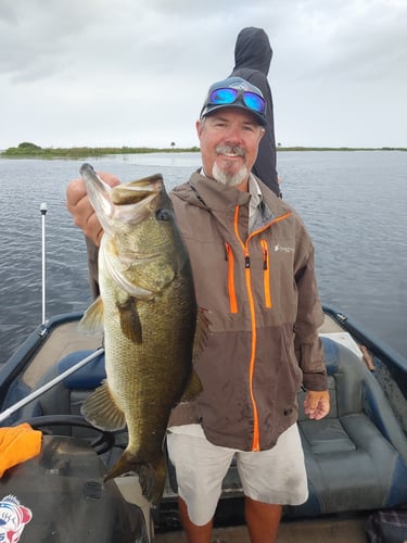 Kissimmee Bass Fishing Charter In Kissimmee