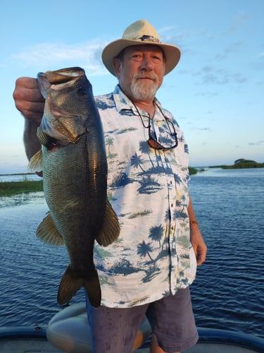 Kissimmee Bass Fishing Charter In Kissimmee