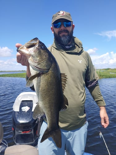 Kissimmee Bass Fishing Charter In Kissimmee