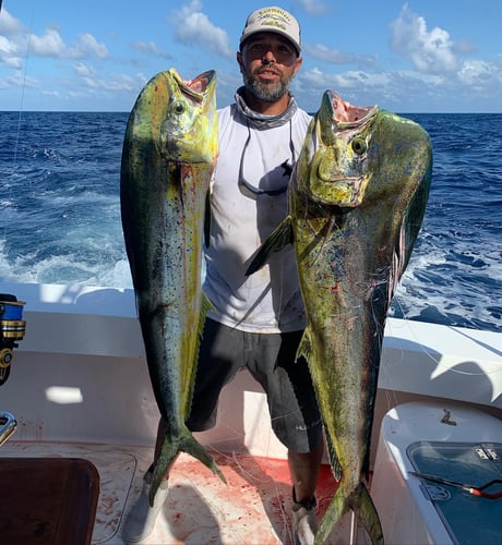 Miami Mixed Bag Trip In Key Biscayne