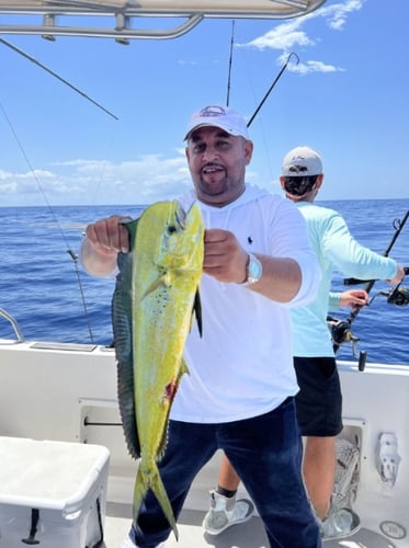 Miami Mixed Bag Trip In Key Biscayne