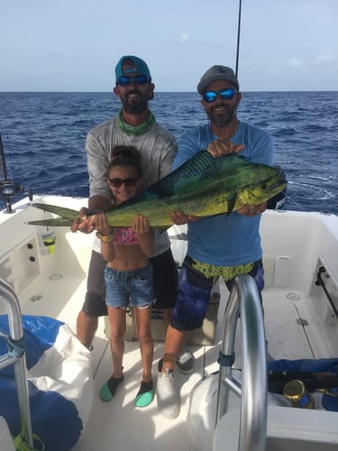 Miami Mixed Bag Trip In Key Biscayne