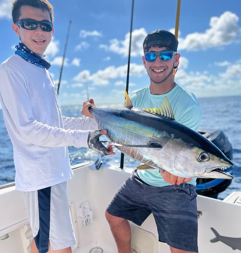 Miami Mixed Bag Trip In Key Biscayne