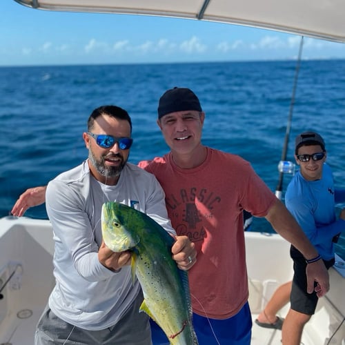 Miami Mixed Bag Trip In Key Biscayne