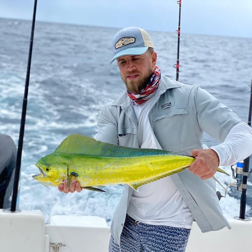 Miami Mixed Bag Trip In Key Biscayne