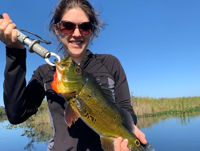 Premier Everglades Fishing In Palmetto Bay