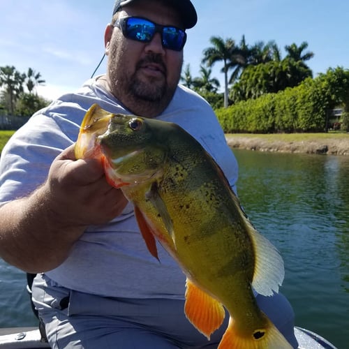 Premier Everglades Fishing In Palmetto Bay