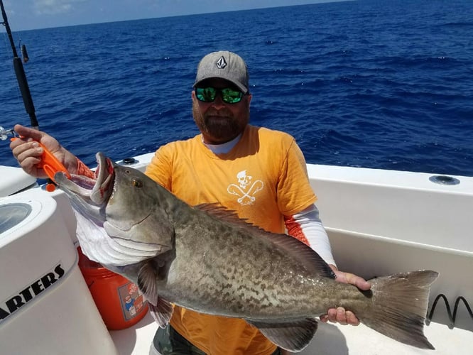 Clearwater Offshore Fishing In Clearwater