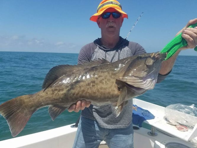 Clearwater Offshore Fishing In Clearwater