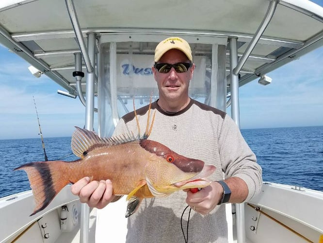 Clearwater Offshore Fishing In Clearwater