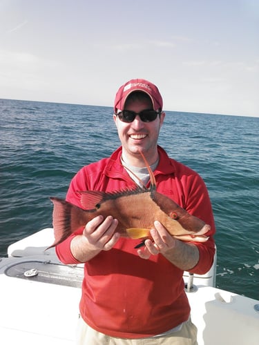 Clearwater Offshore Fishing In Clearwater